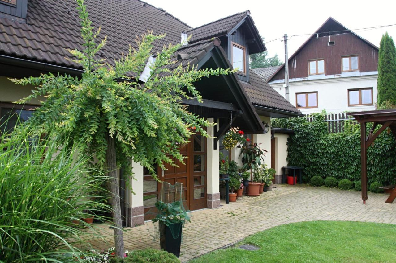 Ubytovani Zdarske Vrchy Světnov エクステリア 写真