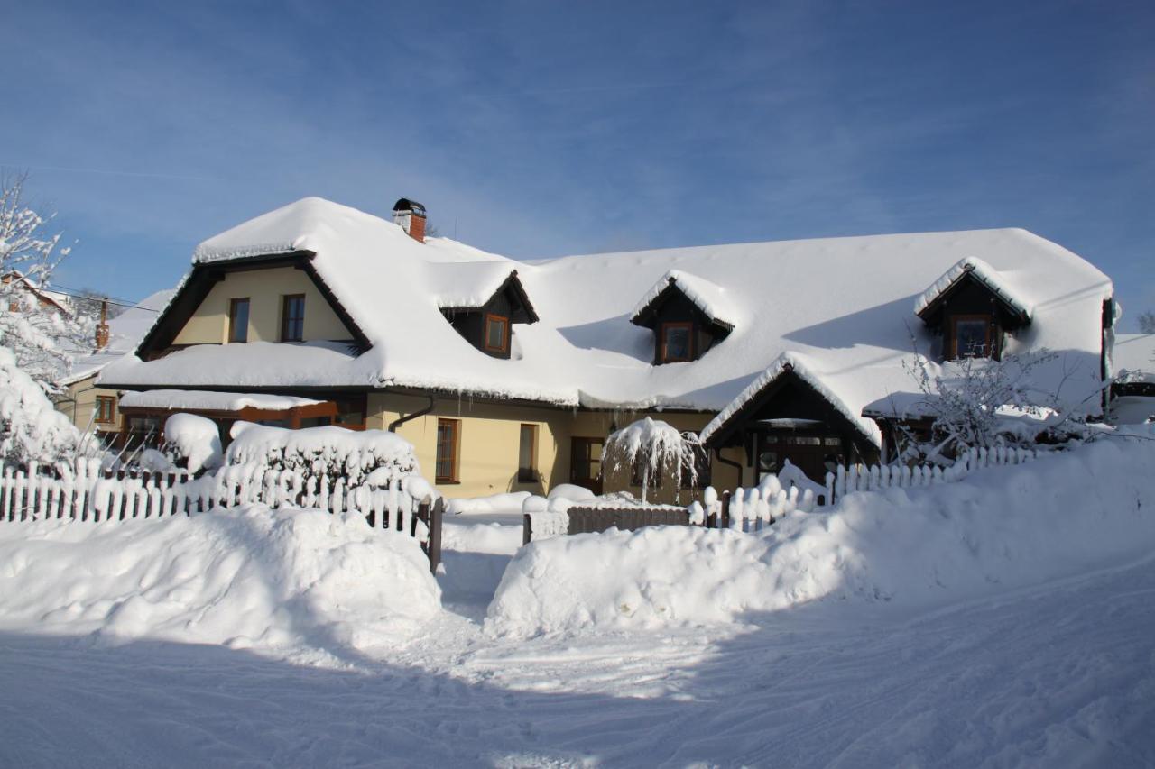 Ubytovani Zdarske Vrchy Světnov エクステリア 写真