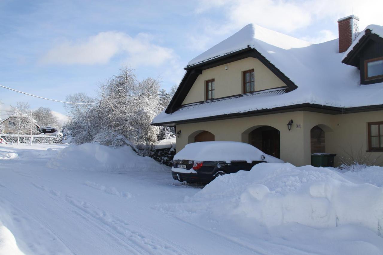 Ubytovani Zdarske Vrchy Světnov エクステリア 写真