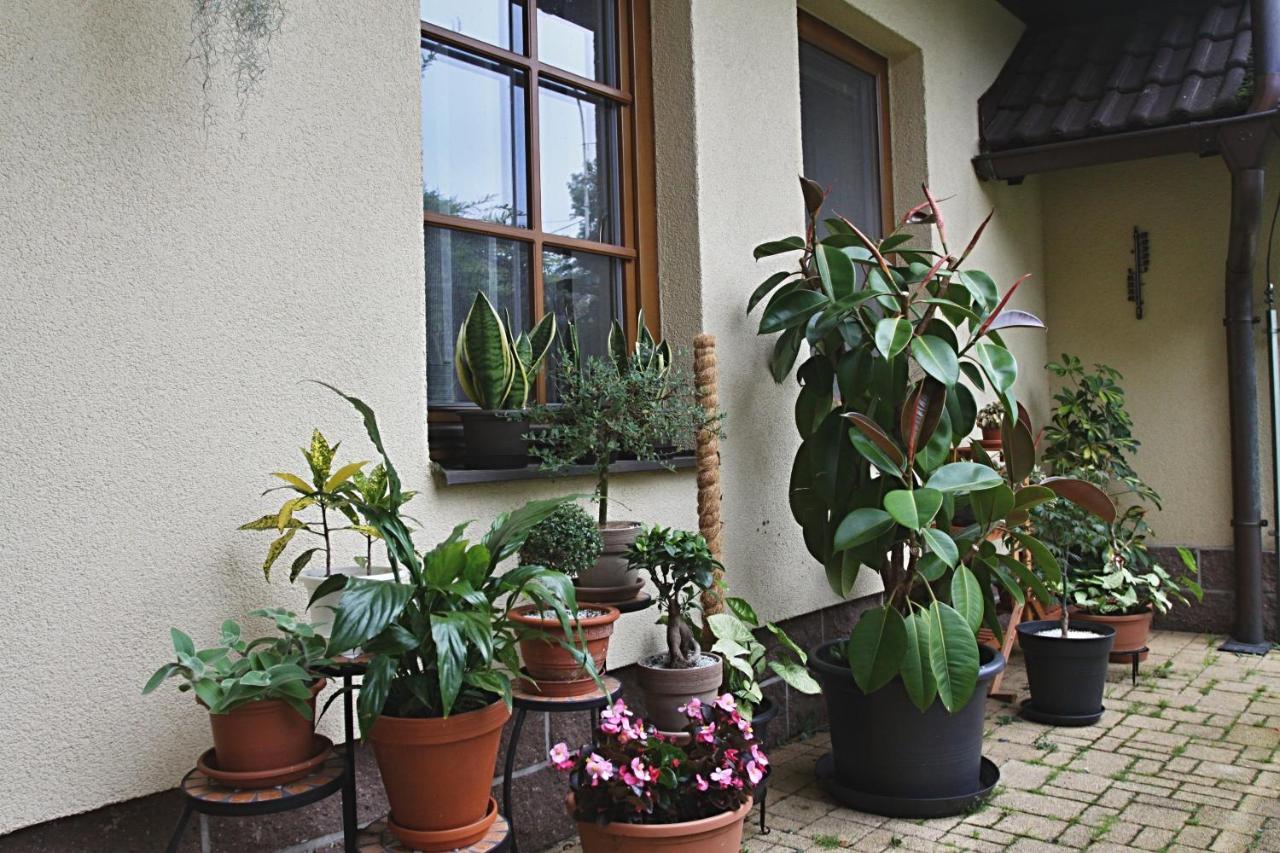 Ubytovani Zdarske Vrchy Světnov エクステリア 写真