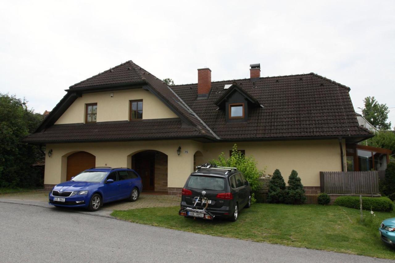 Ubytovani Zdarske Vrchy Světnov エクステリア 写真